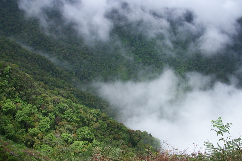 Sri Lanka, Horton Plains